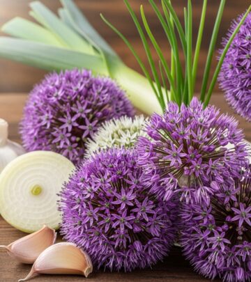 realted-article-image